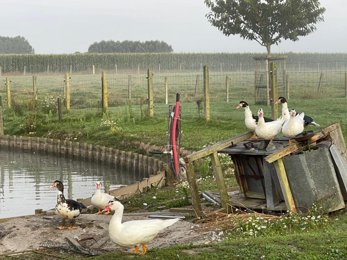 Parel Van Bever - Perle De Bievene Bagian luar foto