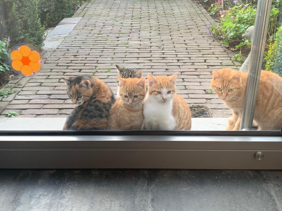Parel Van Bever - Perle De Bievene Bagian luar foto
